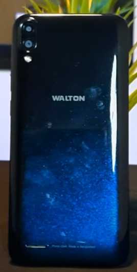 Walton Primo GM4